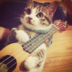 麻花传剧原创mv免费观看原神
